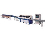 Omga T 2020 / 2030 NC Optimizing Saw System